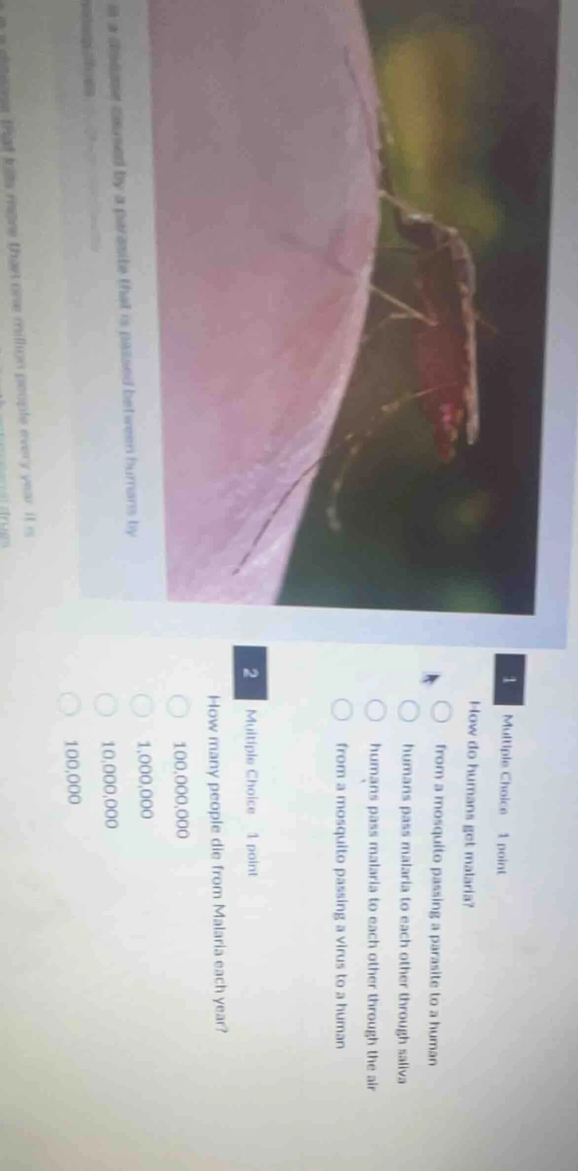 1 multiple choice 1 point how do humans get malaria? from a mosquito pa…