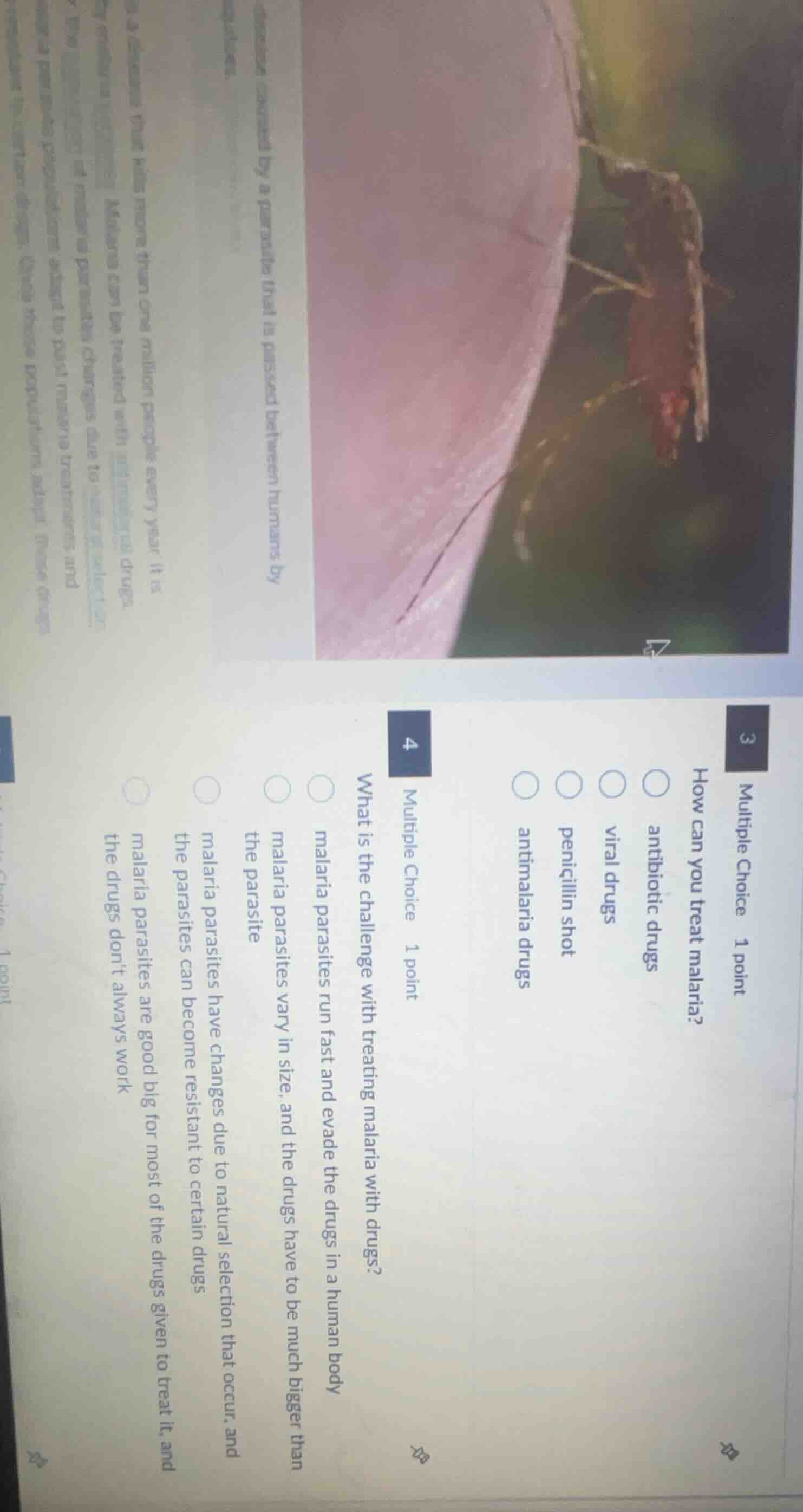 3 multiple choice 1 point how can you treat malaria? antibiotic drugs v…