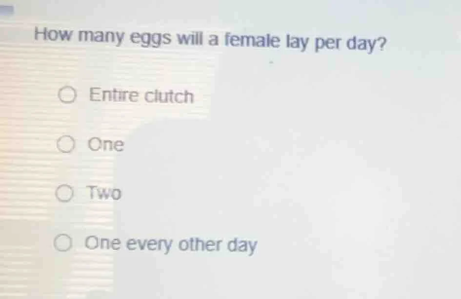 how many eggs will a female lay per day? entire clutch one two one ever…