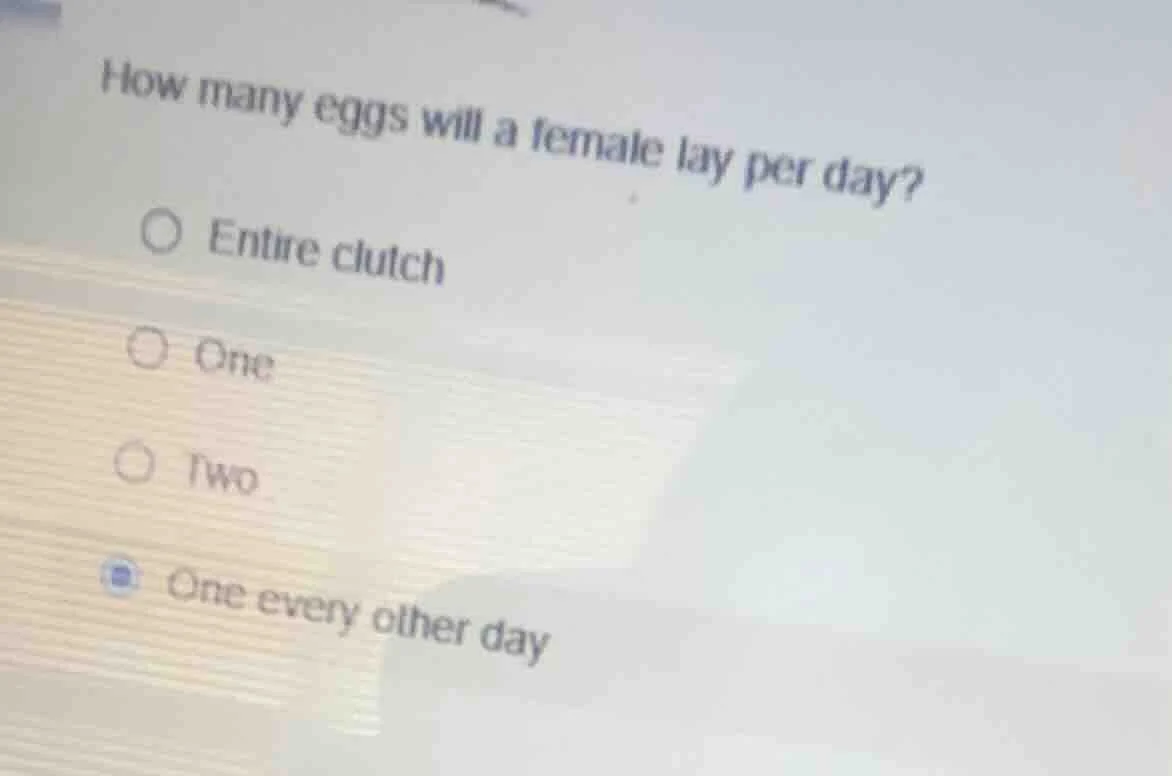how many eggs will a female lay per day? ○ entire clutch ○ one ○ two ○ …