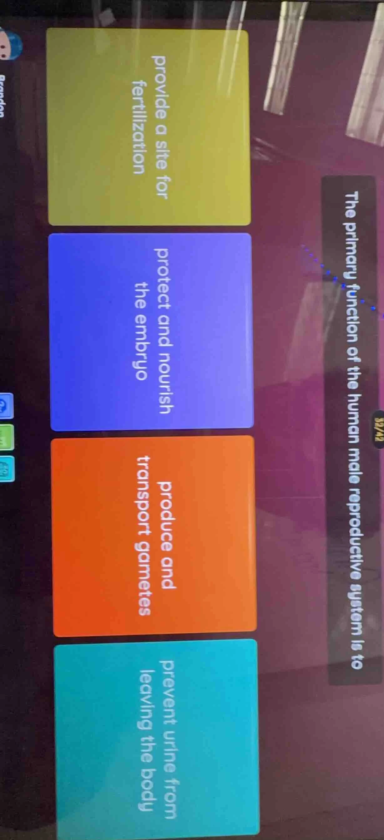 the primary function of the human male reproductive system is to provid…