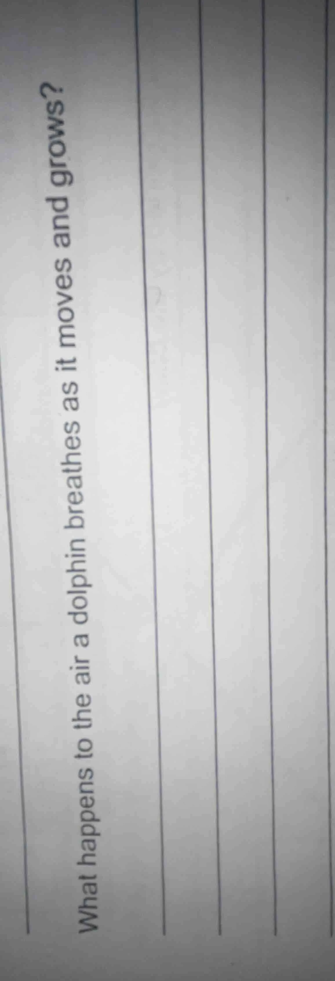 what happens to the air a dolphin breathes as it moves and grows?