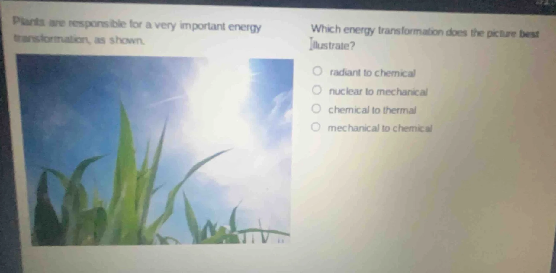 plants are responsible for a very important energy transformation, as s…