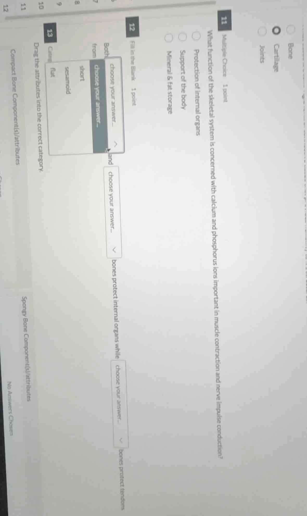 11 multiple choice 1 point what function of the skeletal system is conc…