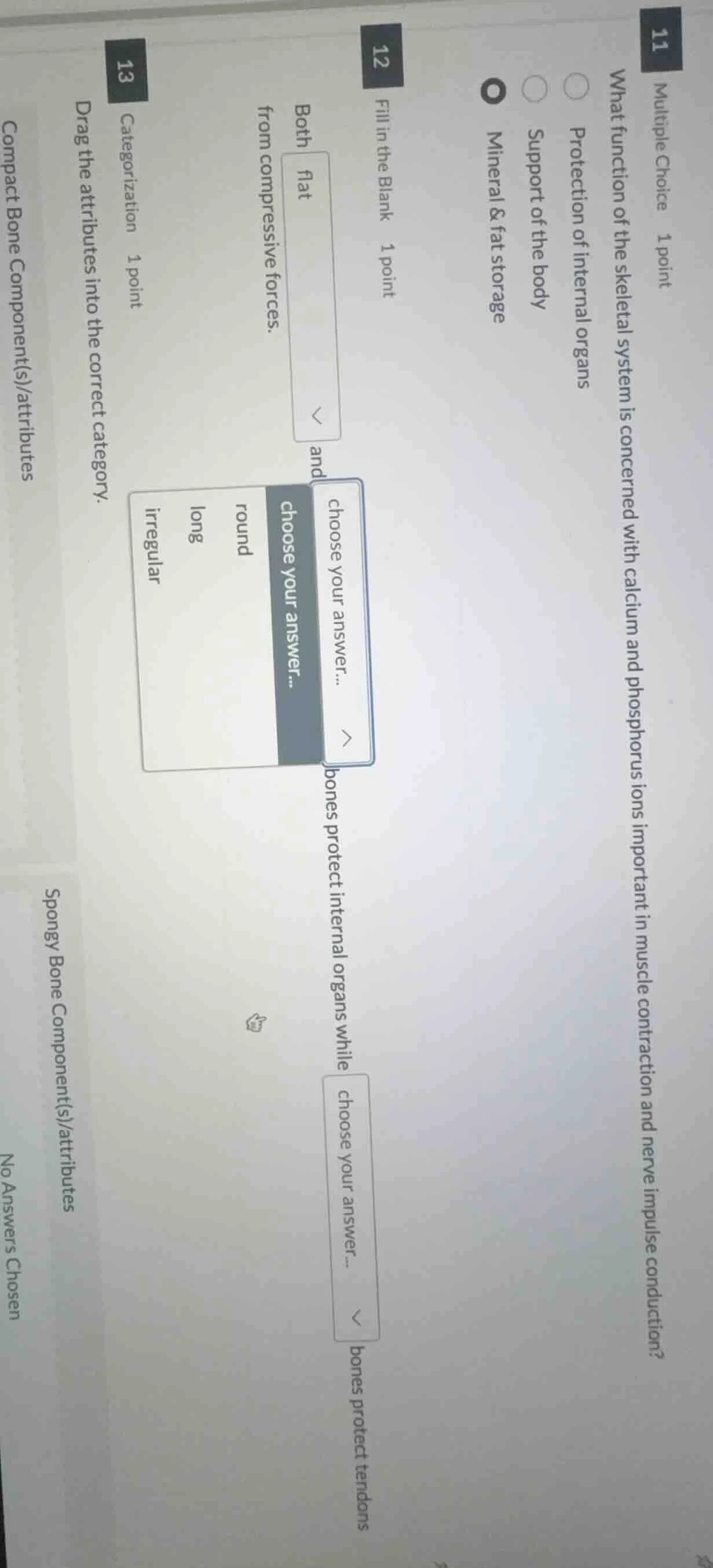 11 multiple choice 1 point what function of the skeletal system is conc…