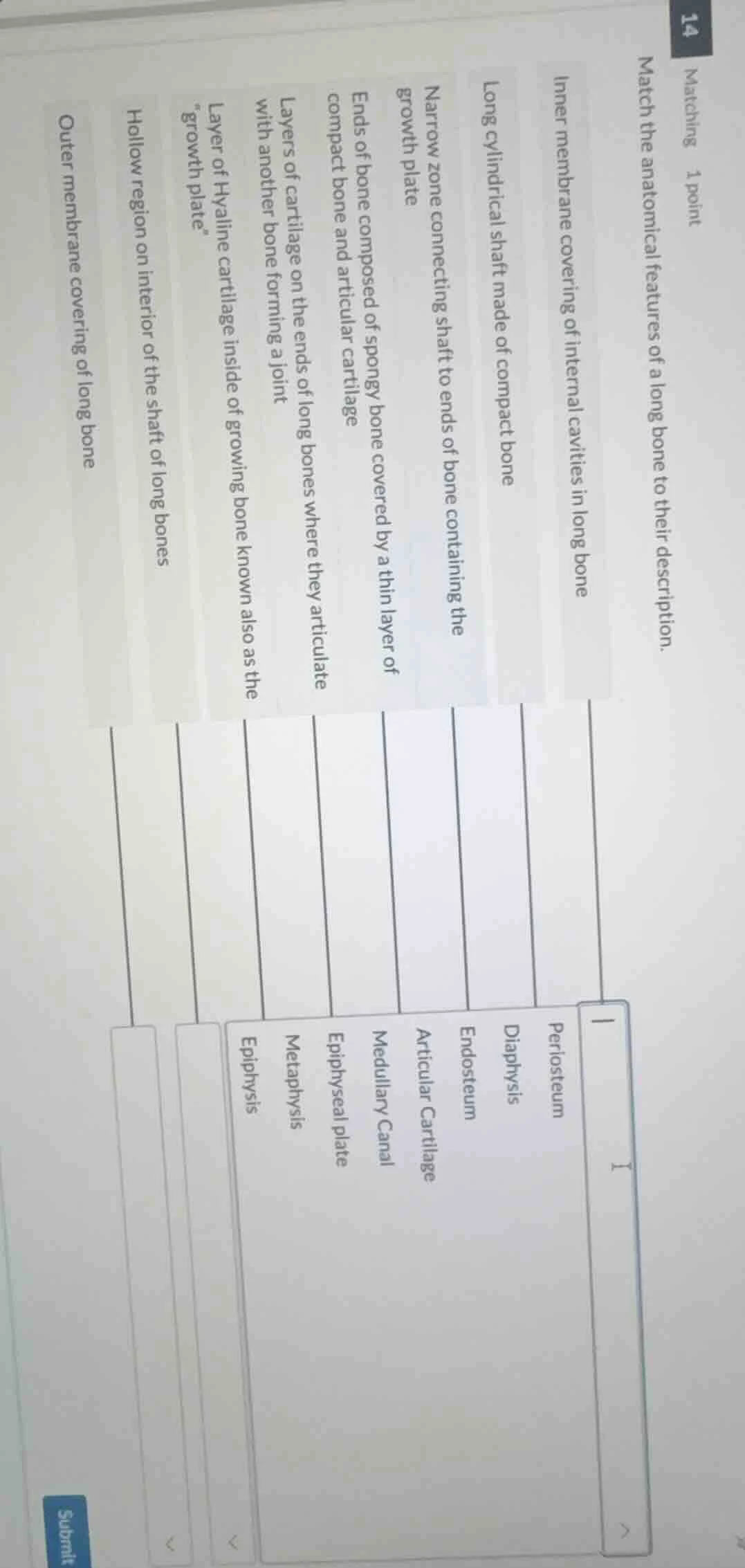 matching 1 point match the anatomical features of a long bone to their …