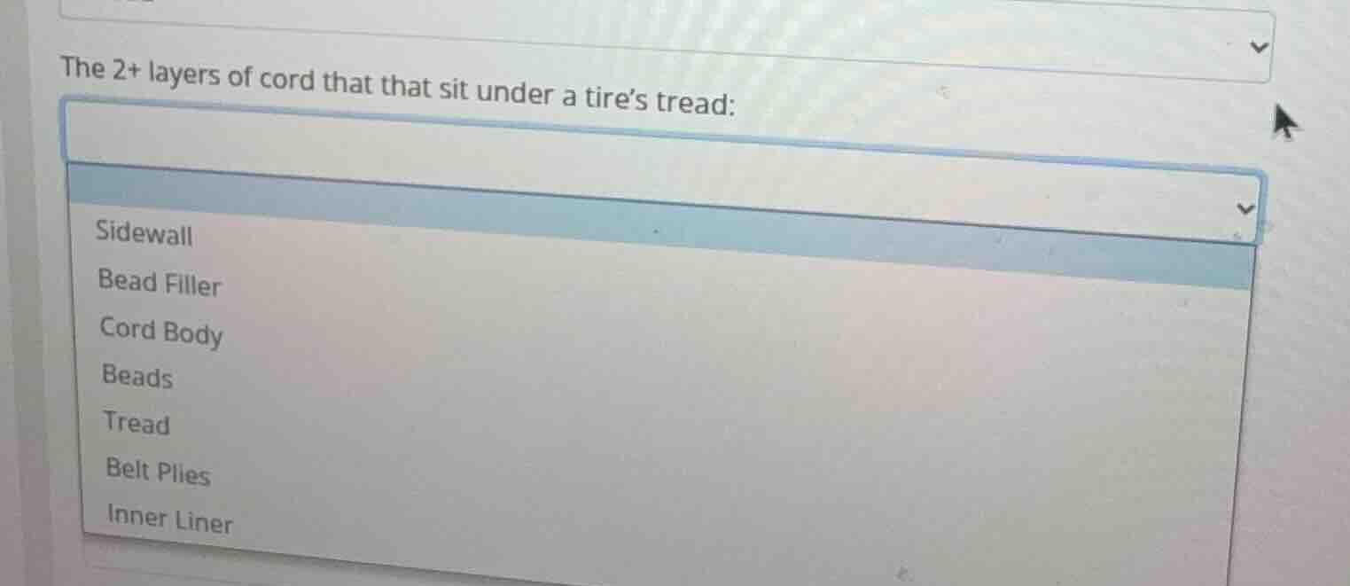 the 2+ layers of cord that that sit under a tire’s tread: sidewall bead…