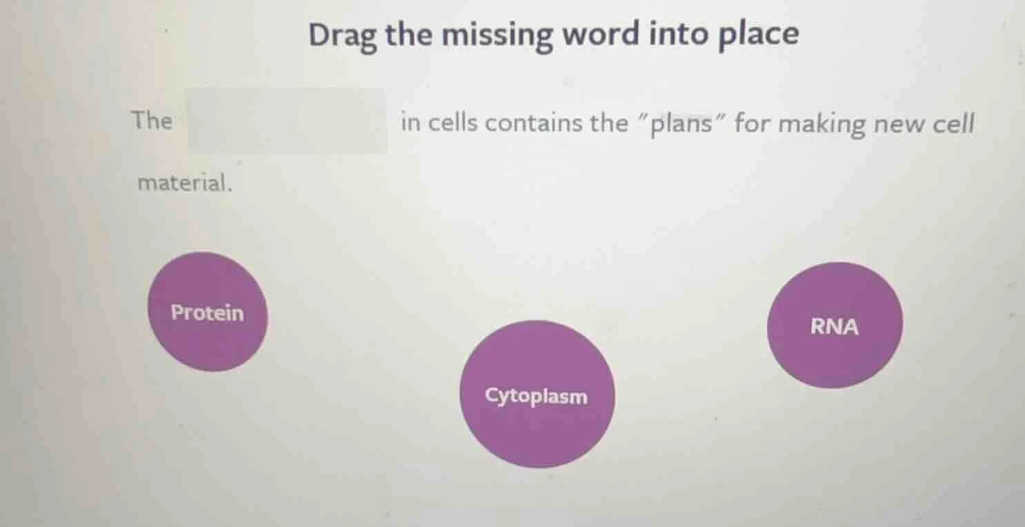 drag the missing word into place the in cells contains the \plans\ for …