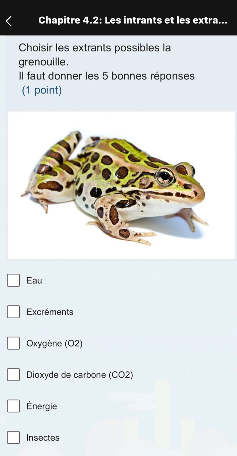 chapitre 4.2: les intrants et les extra... choisir les extrants possibl…