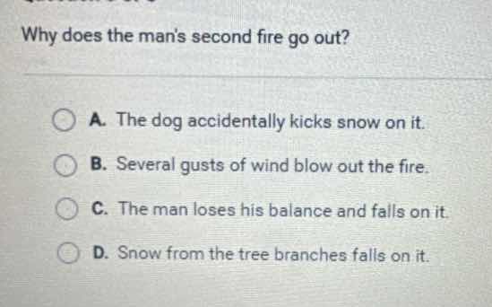 why does the mans second fire go out? a. the dog accidentally kicks sno…