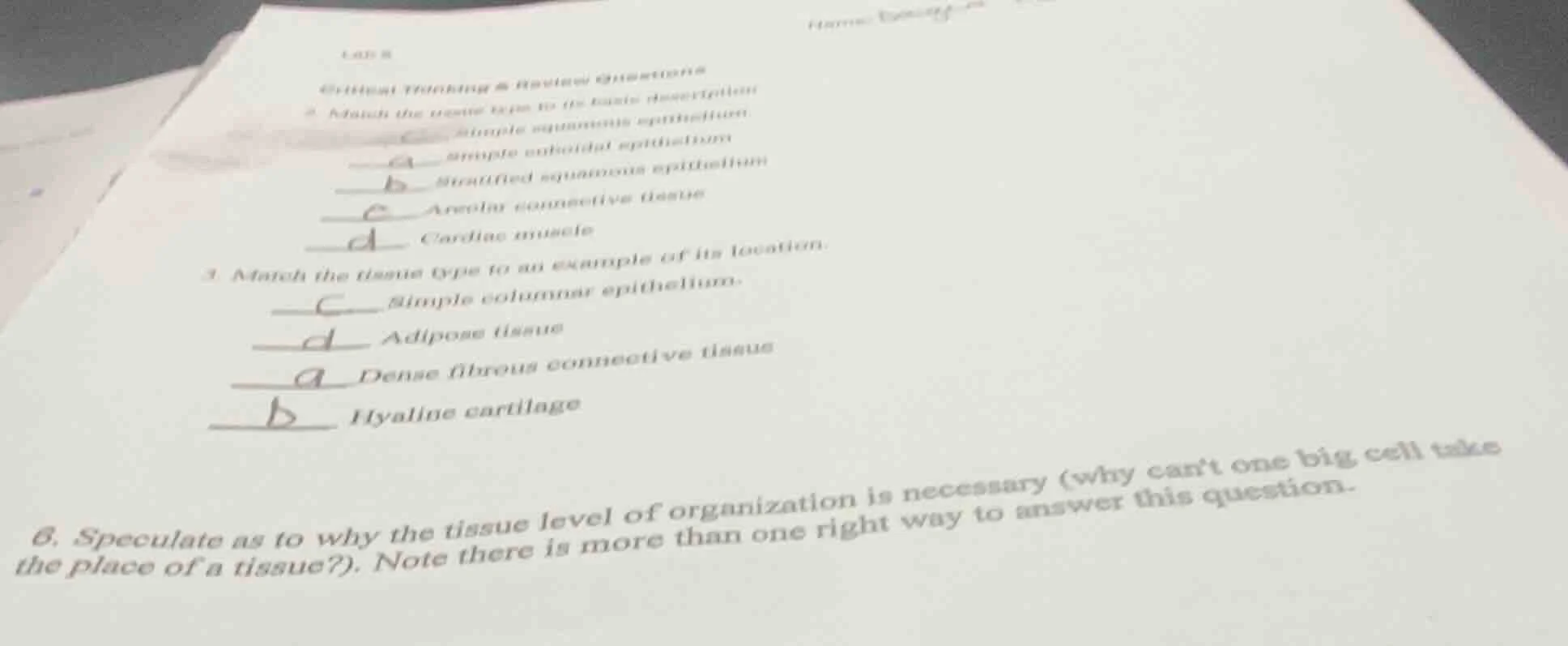lab 6 critical thinking & review questions 2 match the tissue type to i…