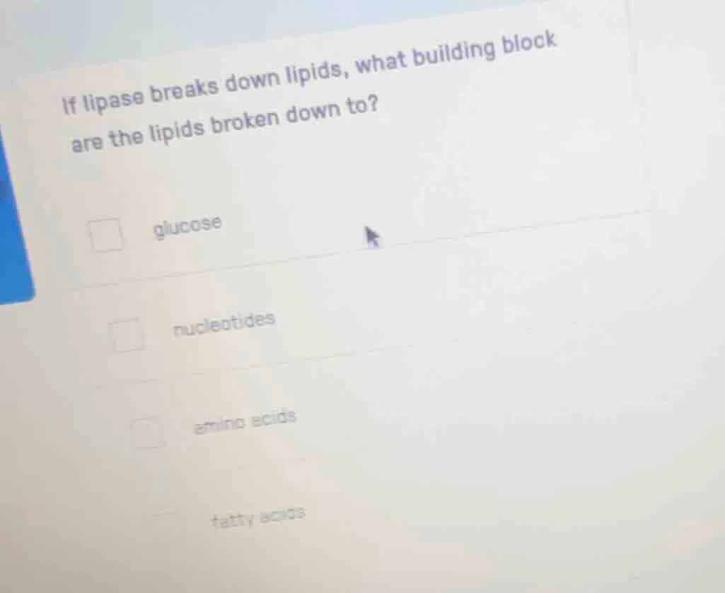 if lipase breaks down lipids, what building block are the lipids broken…