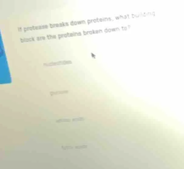 if protease breaks down proteins, what building block are the proteins …