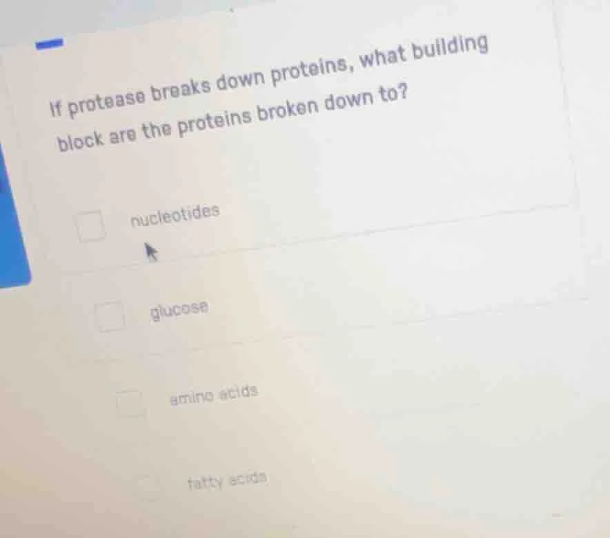 if protease breaks down proteins, what building block are the proteins …