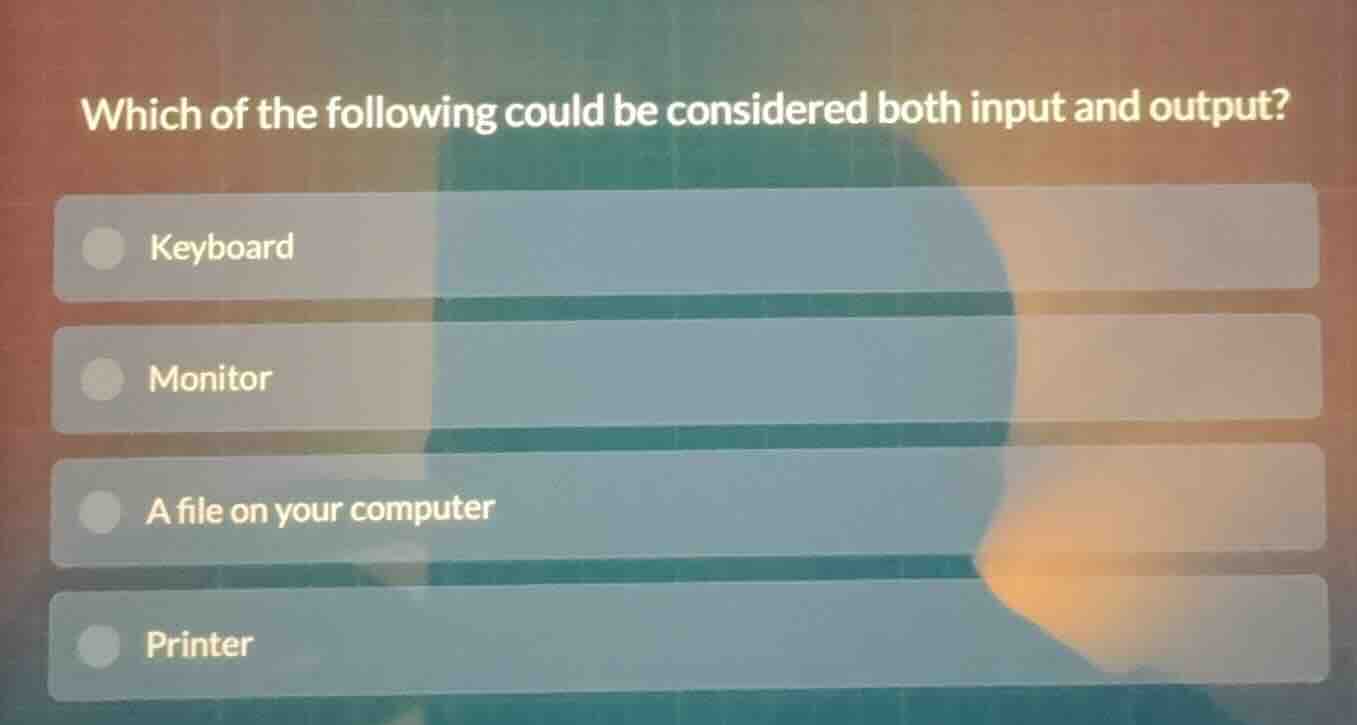 which of the following could be considered both input and output? keybo…