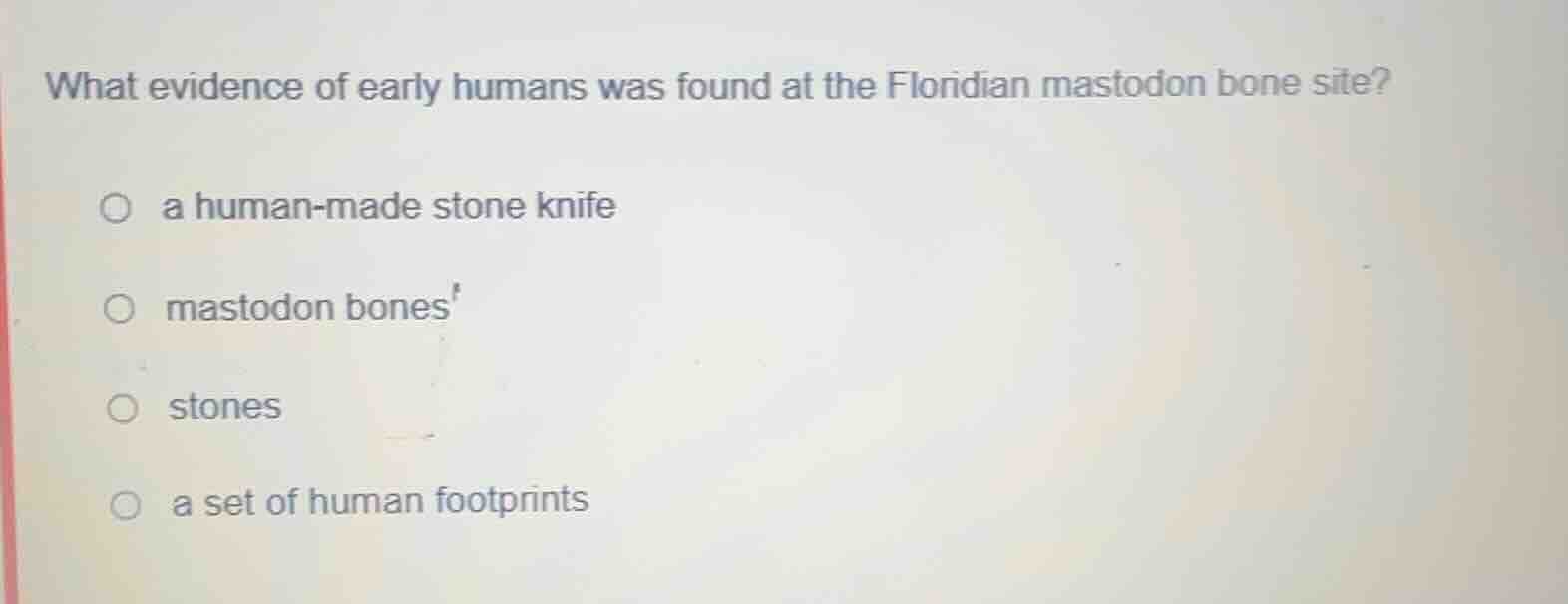 what evidence of early humans was found at the floridian mastodon bone …