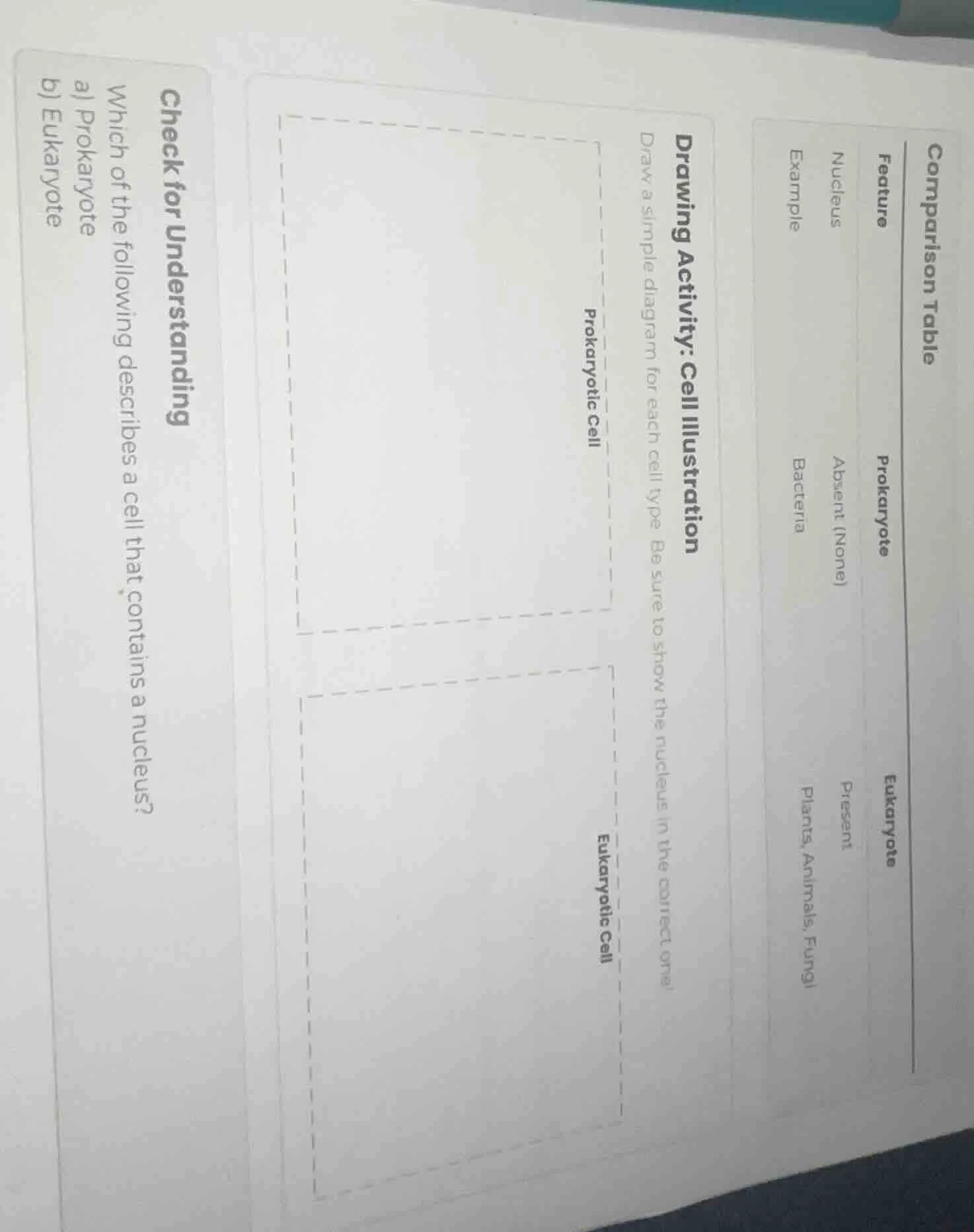 check for understanding which of the following describes a cell that co…