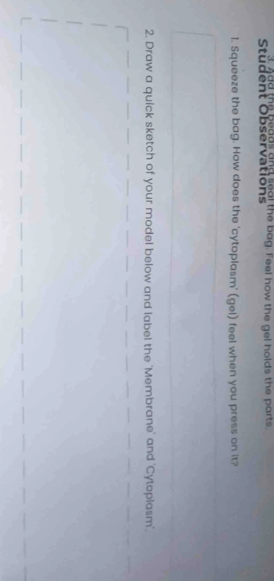 student observations 1. squeeze the bag. how does the cytoplasm (gel) f…