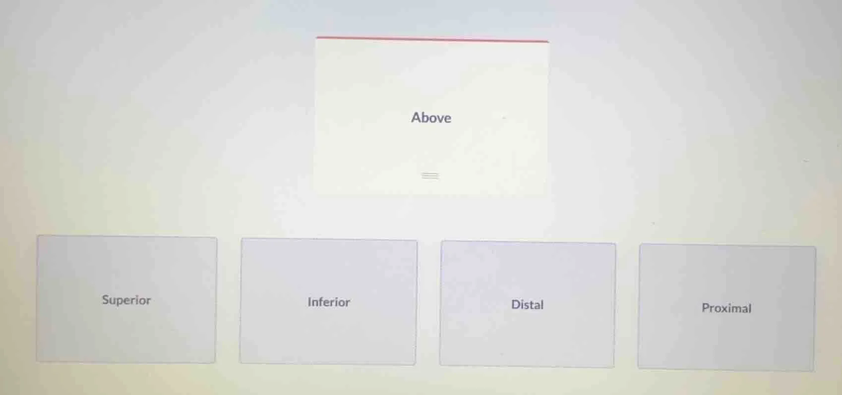above superior inferior distal proximal