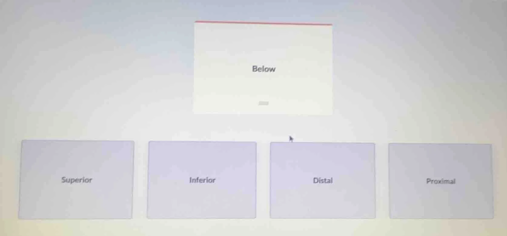 below superior inferior distal proximal