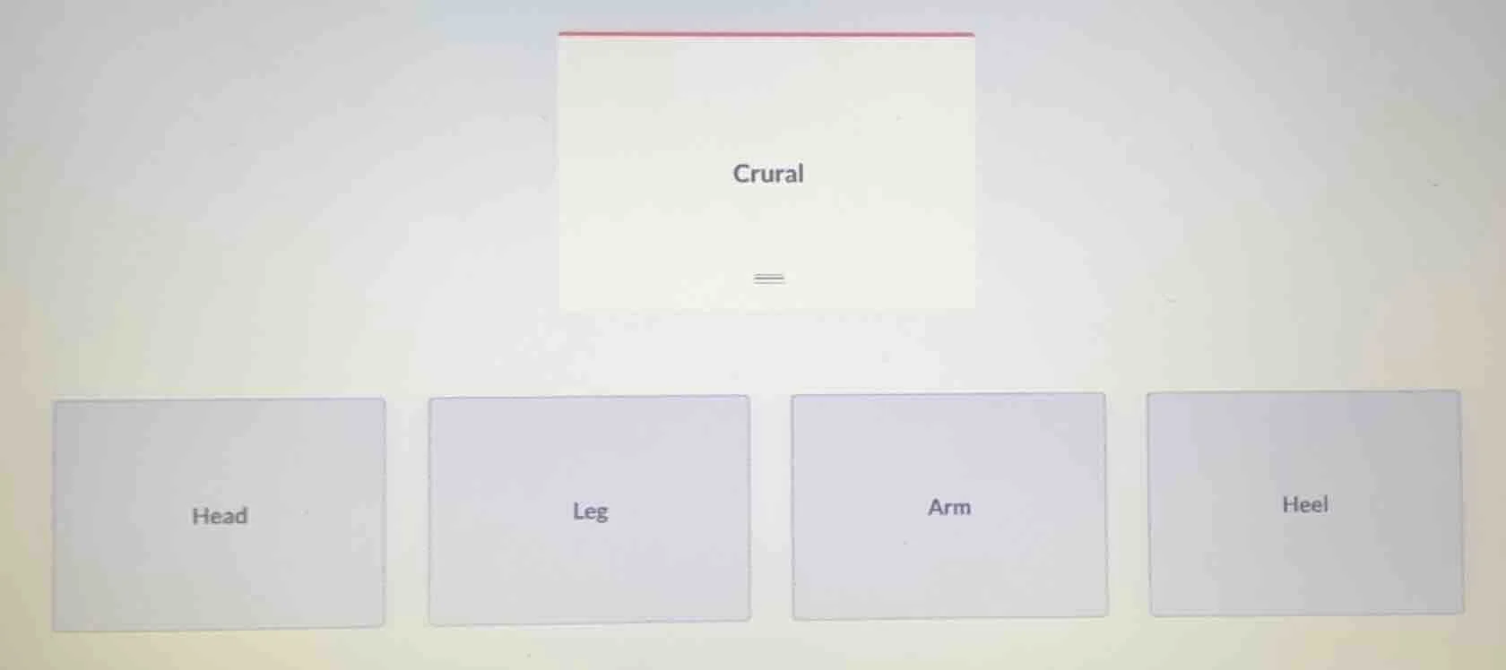 crural, head, leg, arm, heel