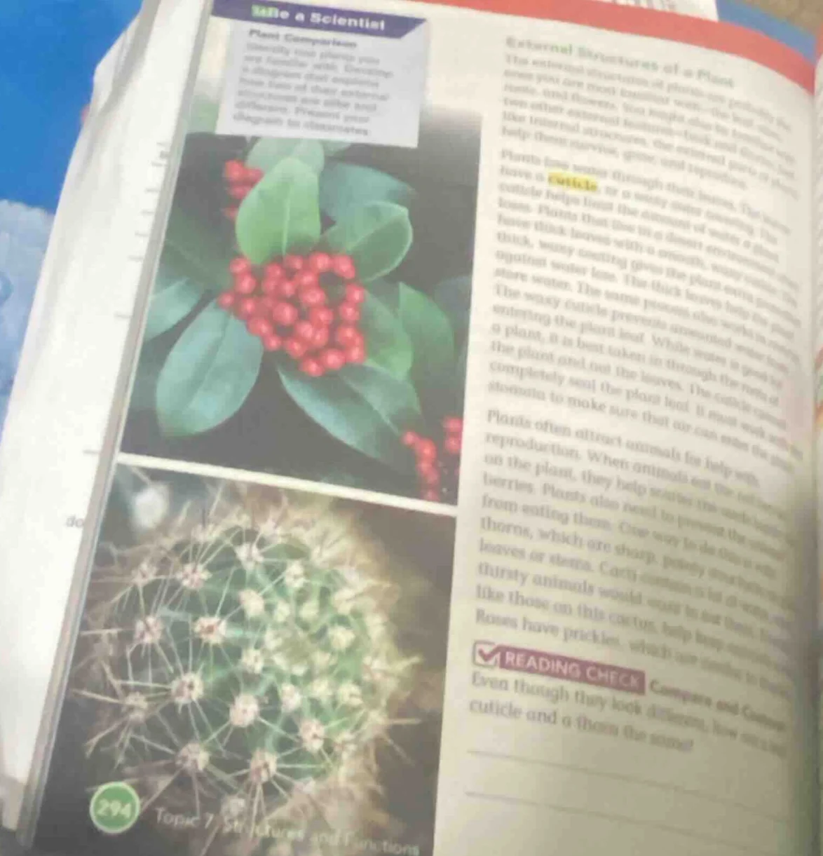 be a scientist plant comparison identify two plants you are familiar wi…