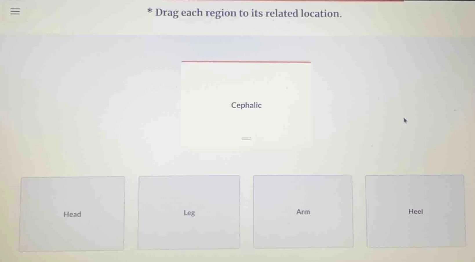 * drag each region to its related location. cephalic head leg arm heel