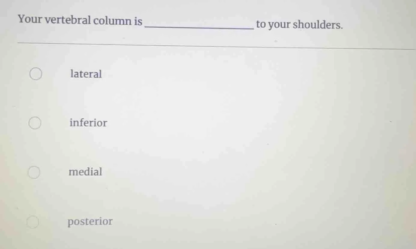 your vertebral column is ______ to your shoulders. lateral inferior med…