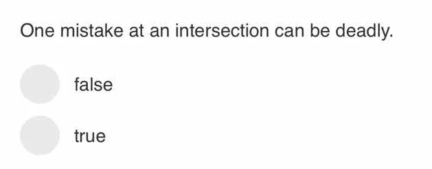 one mistake at an intersection can be deadly. false true