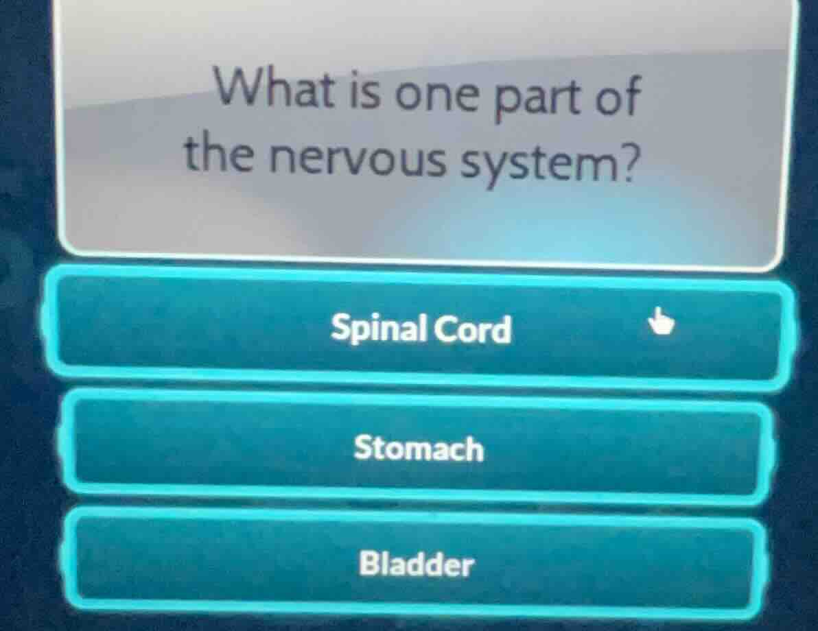what is one part of the nervous system? spinal cord stomach bladder