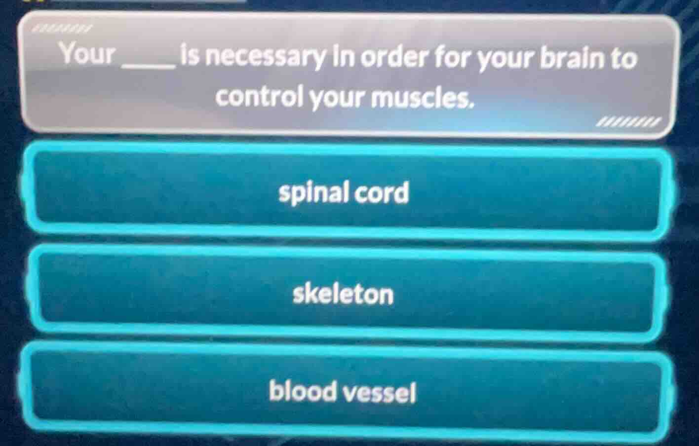 your ______ is necessary in order for your brain to control your muscle…
