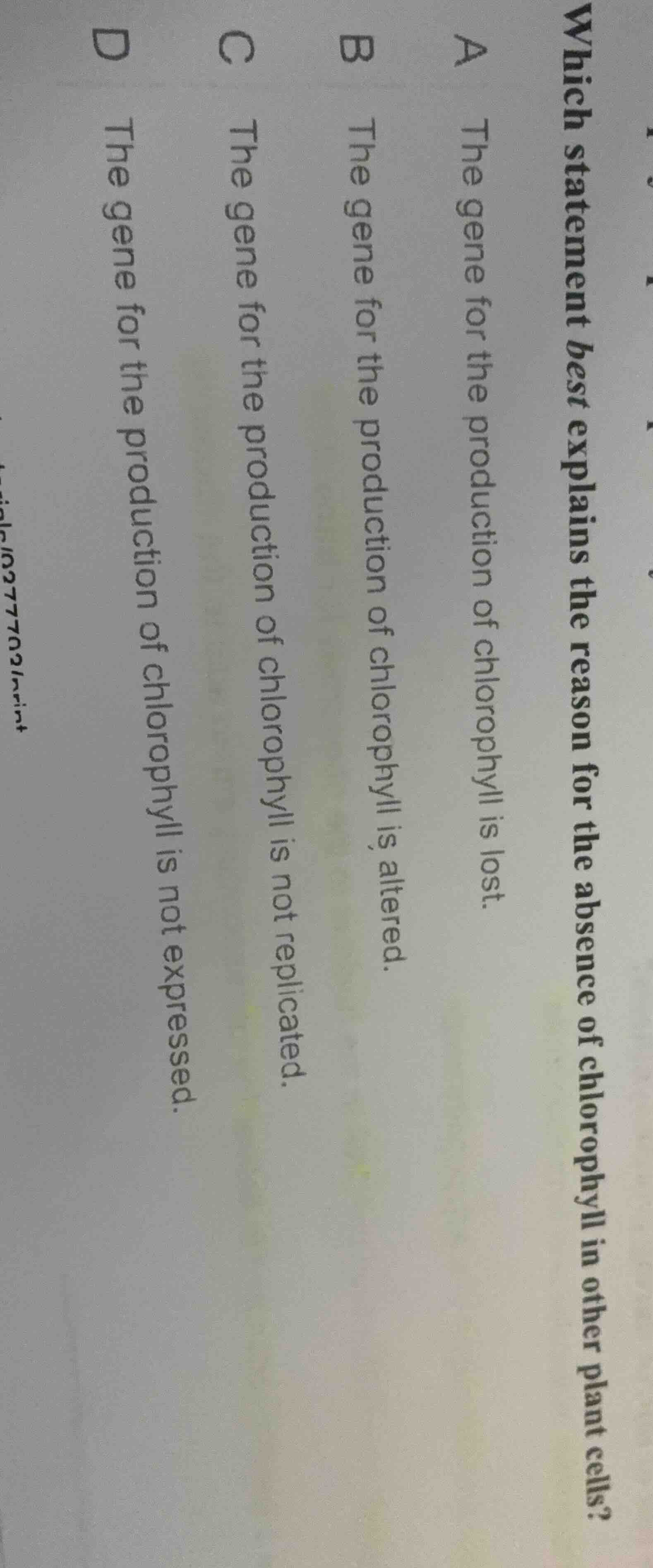 which statement best explains the reason for the absence of chlorophyll…