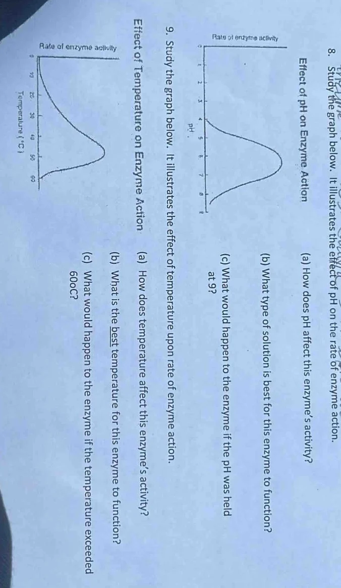 8. study the graph below. it illustrates the effect of ph on the rate o…