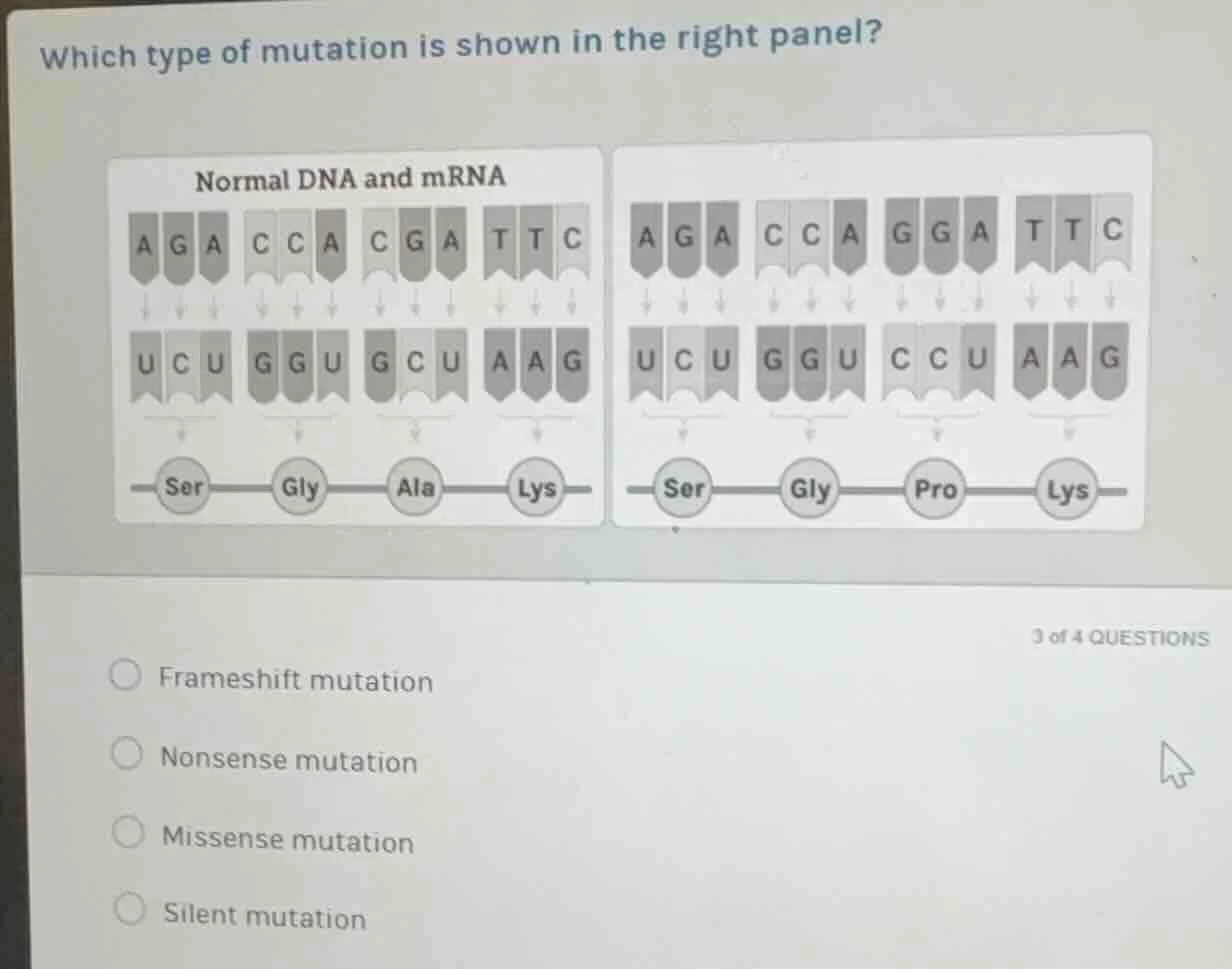 which type of mutation is shown in the right panel? normal dna and mrna…