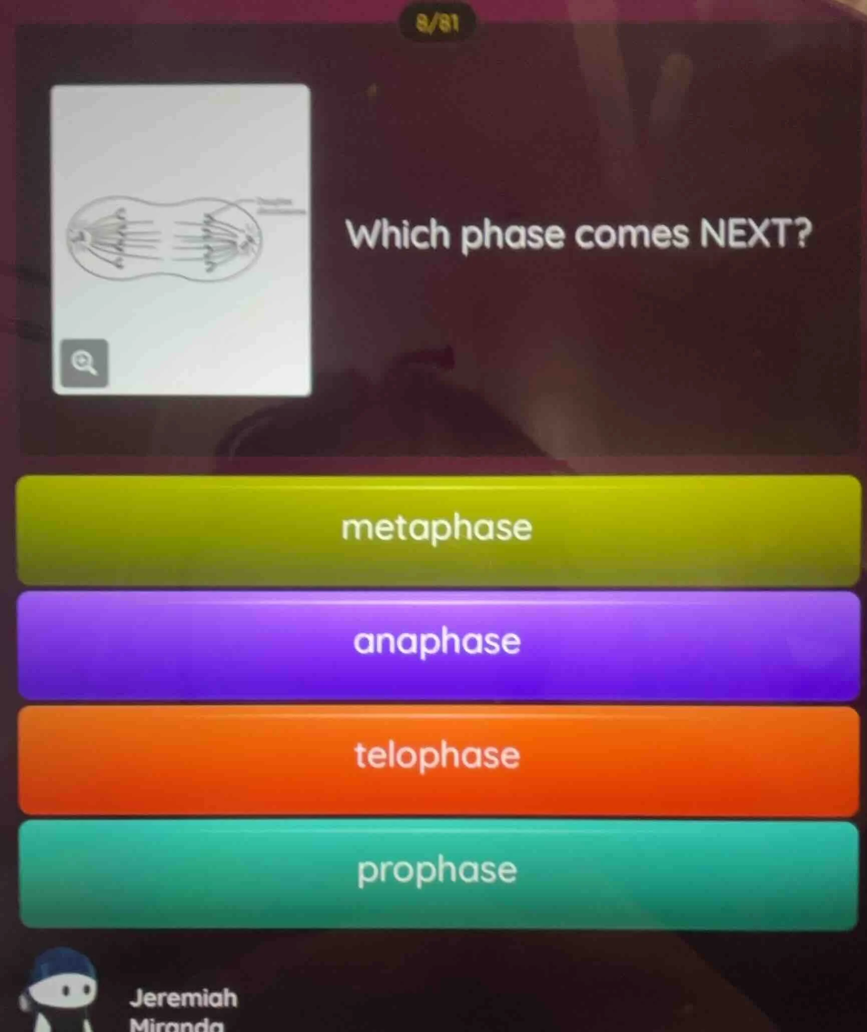 which phase comes next? options: metaphase, anaphase, telophase, propha…