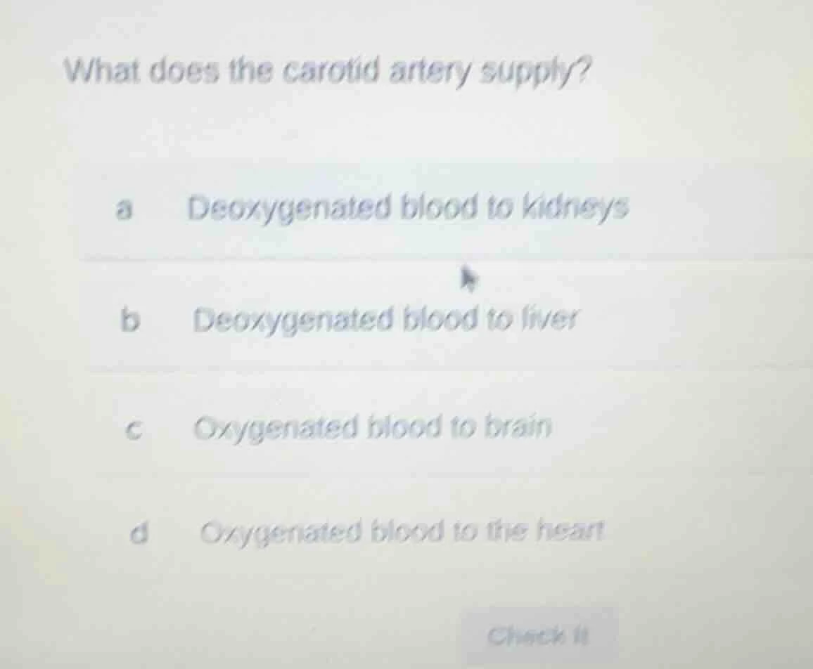 what does the carotid artery supply? a deoxygenated blood to kidneys b …