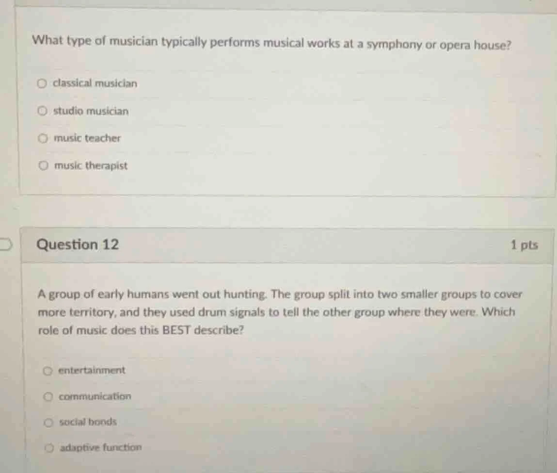 what type of musician typically performs musical works at a symphony or…