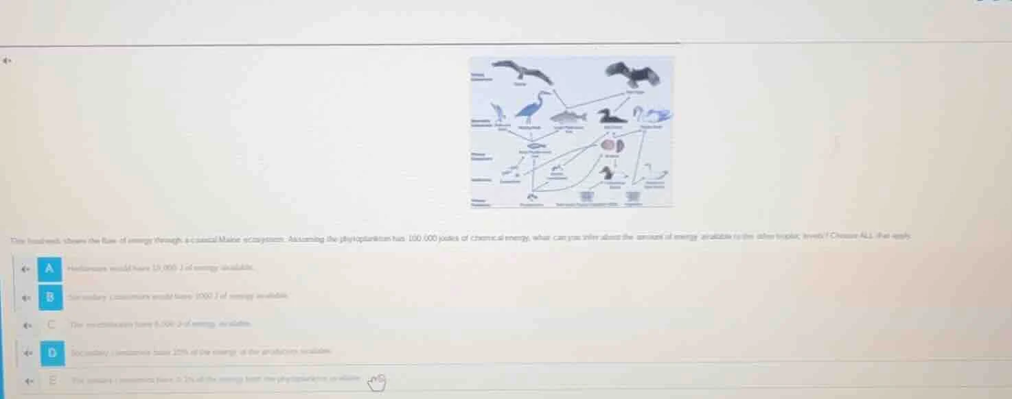 the foodweb shows the flow of energy through a coastal marine ecosystem…