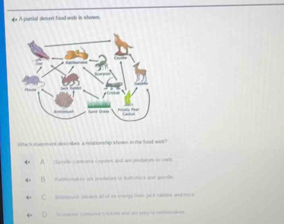 4. a partial desert food web is shown. which statement describes a rela…