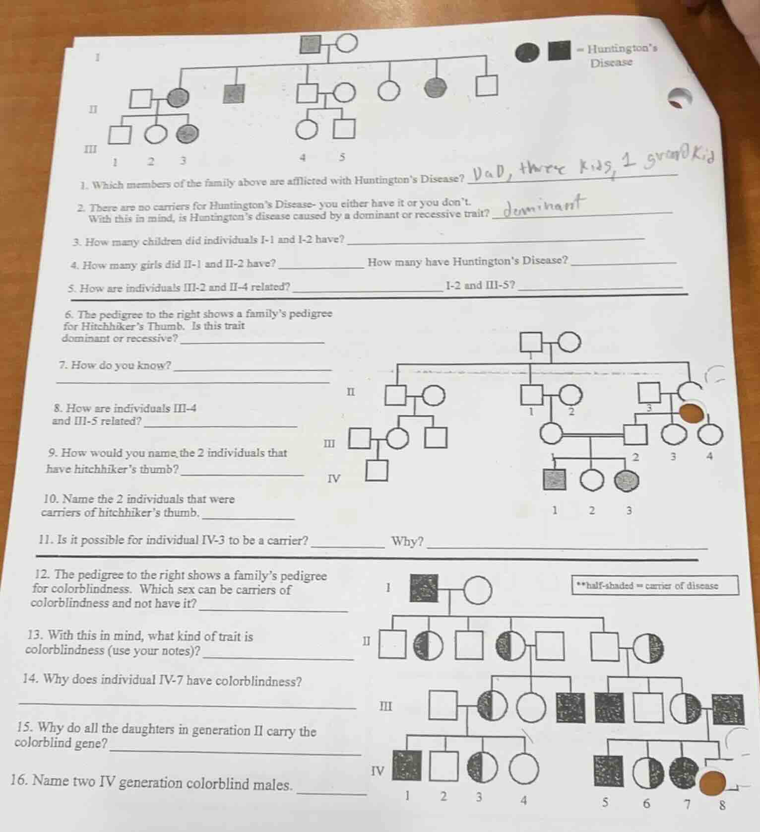 1. which members of the family above are afflicted with huntington’s di…