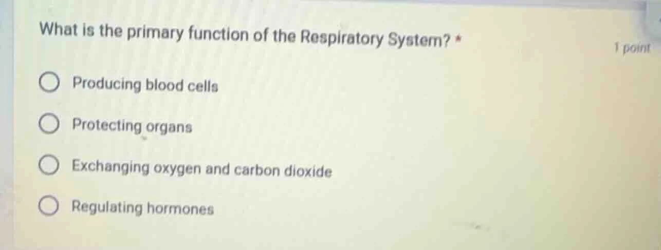 what is the primary function of the respiratory system? * producing blo…