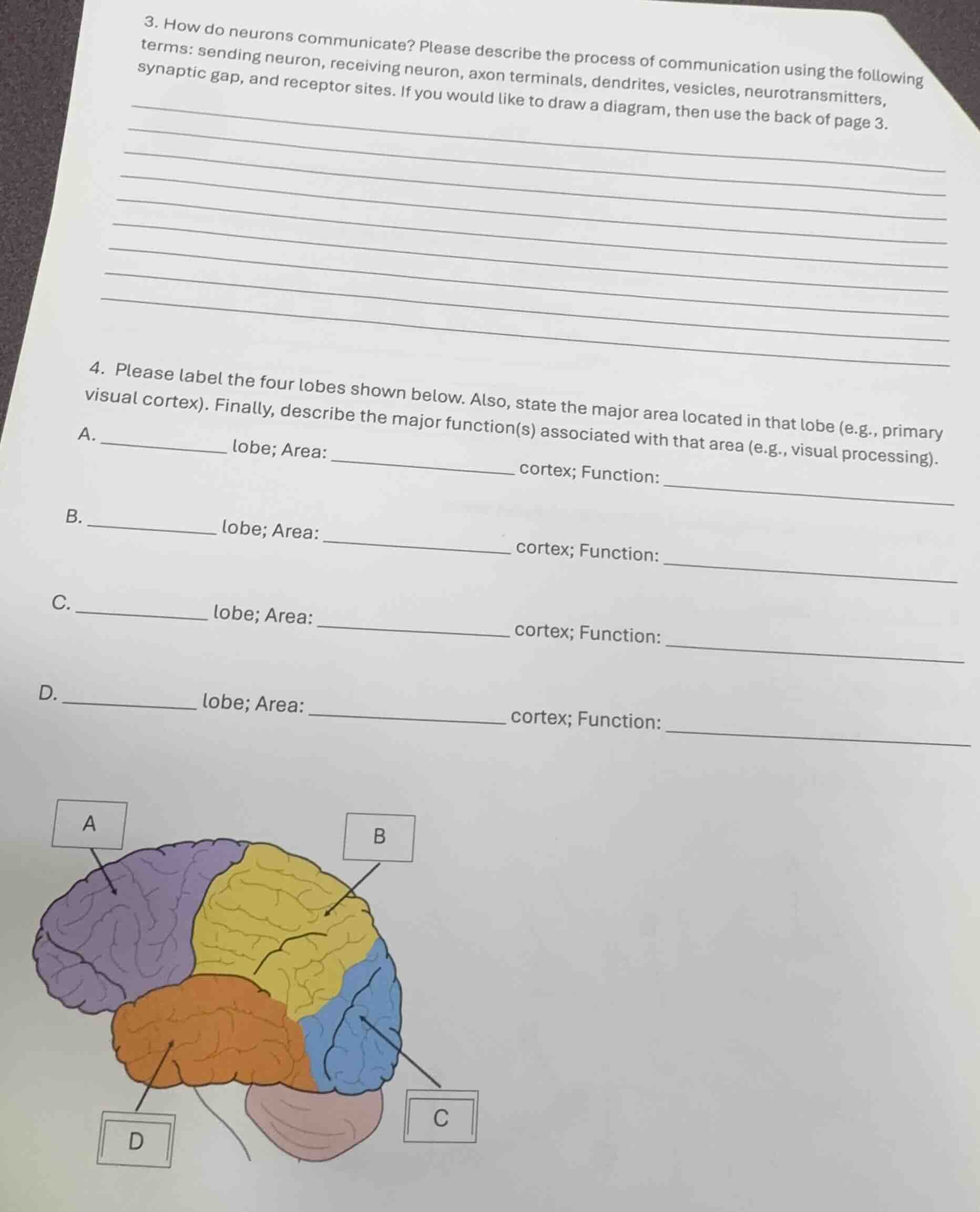 3. how do neurons communicate? please describe the process of communica…
