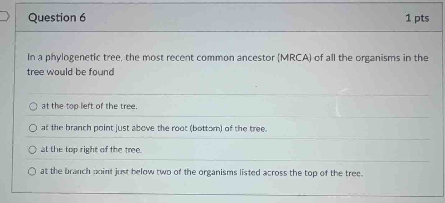 question 6 1 pts in a phylogenetic tree, the most recent common ancesto…