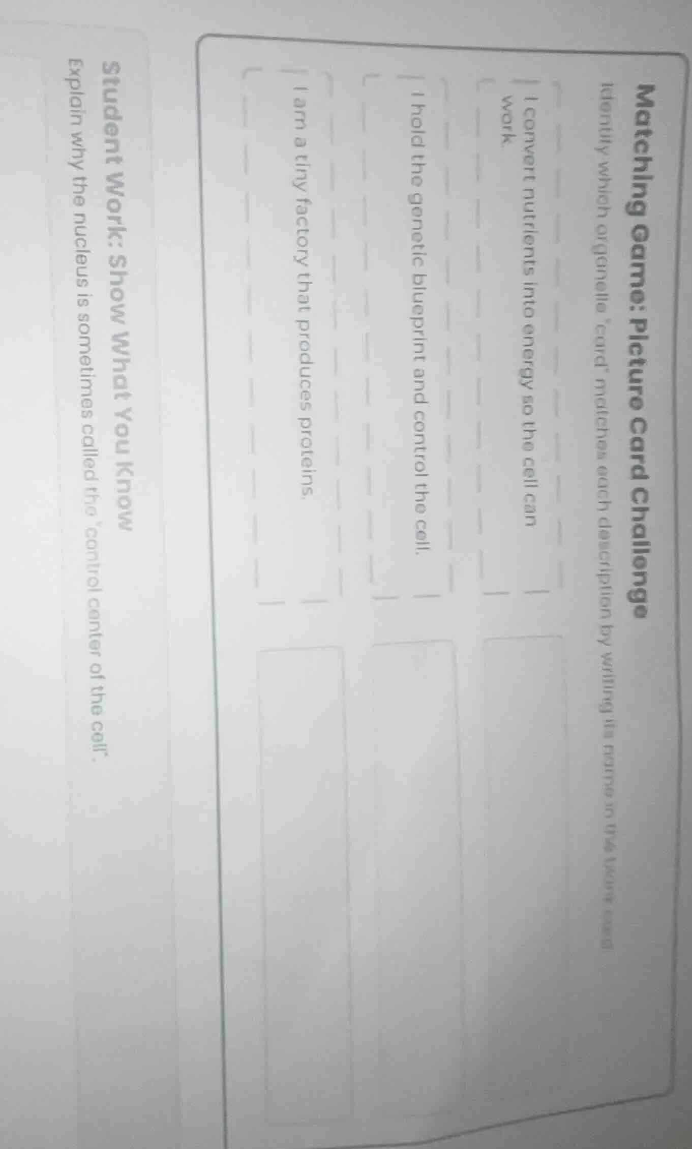 matching game: picture card challenge identify which organelle “card” m…