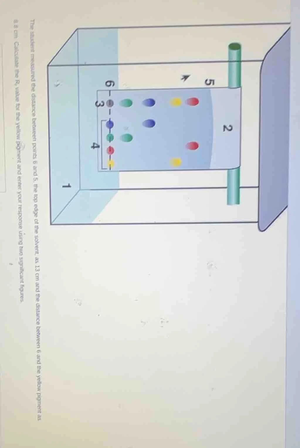 the student measured the distance between points 6 and 5, the top edge …