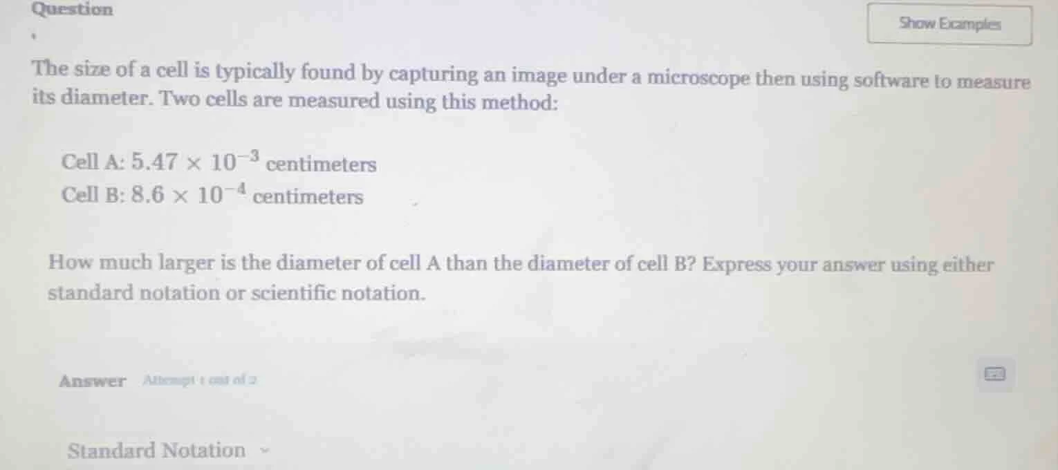 question the size of a cell is typically found by capturing an image un…