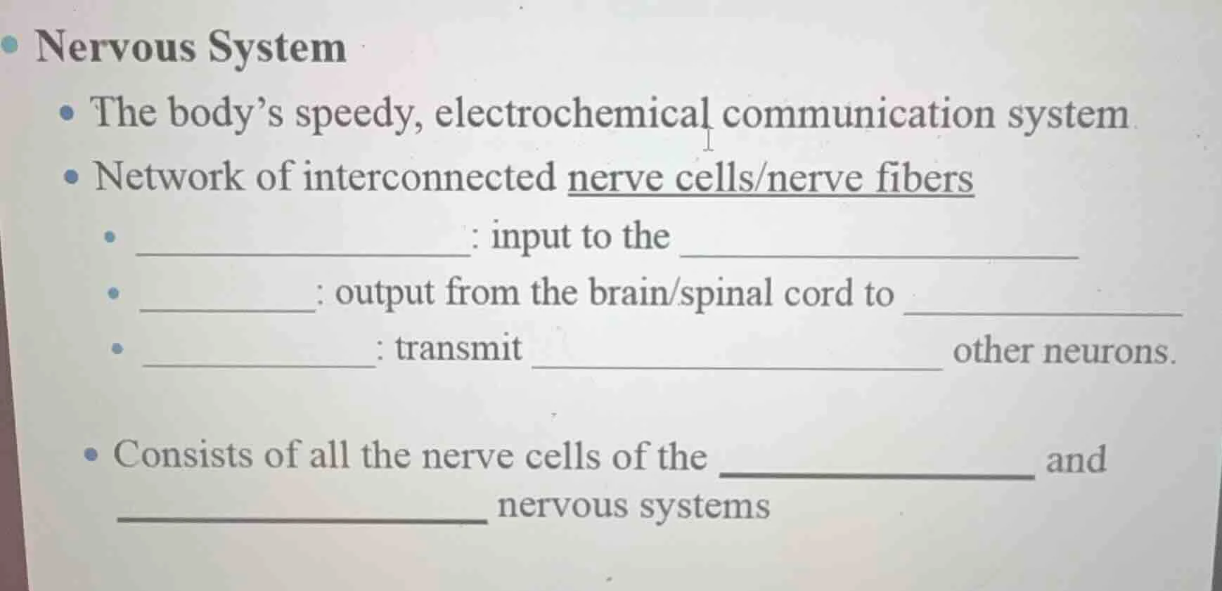 nervous system - the body’s speedy, electrochemical communication syste…