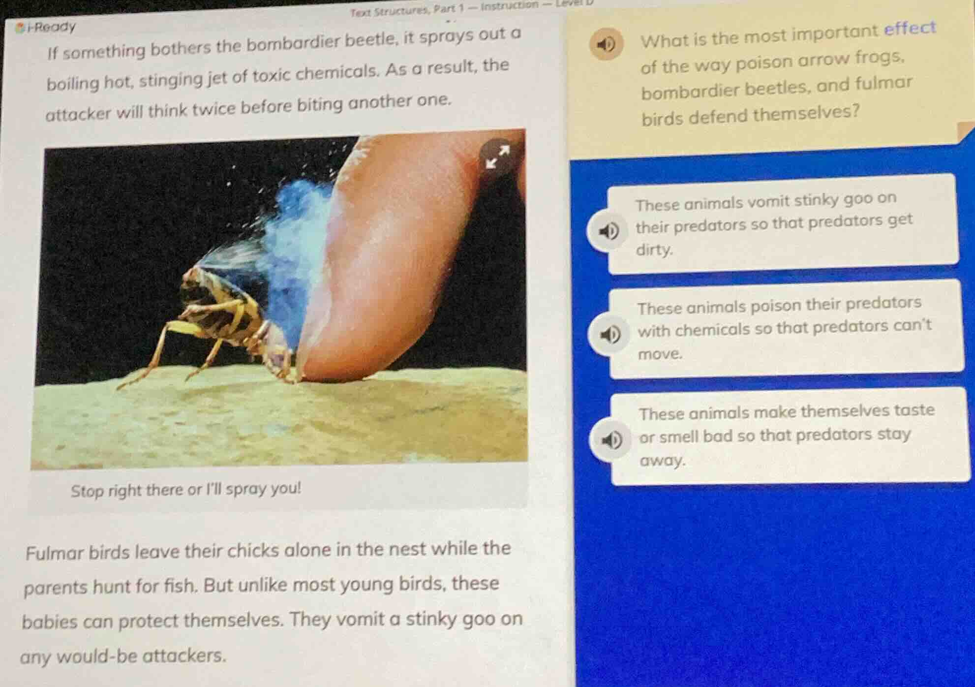 i - ready if something bothers the bombardier beetle, it sprays out a b…