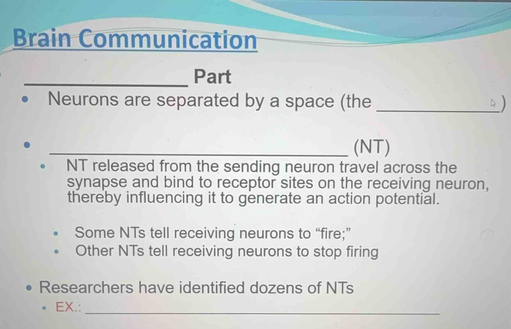 brain communication __________ part - neurons are separated by a space …
