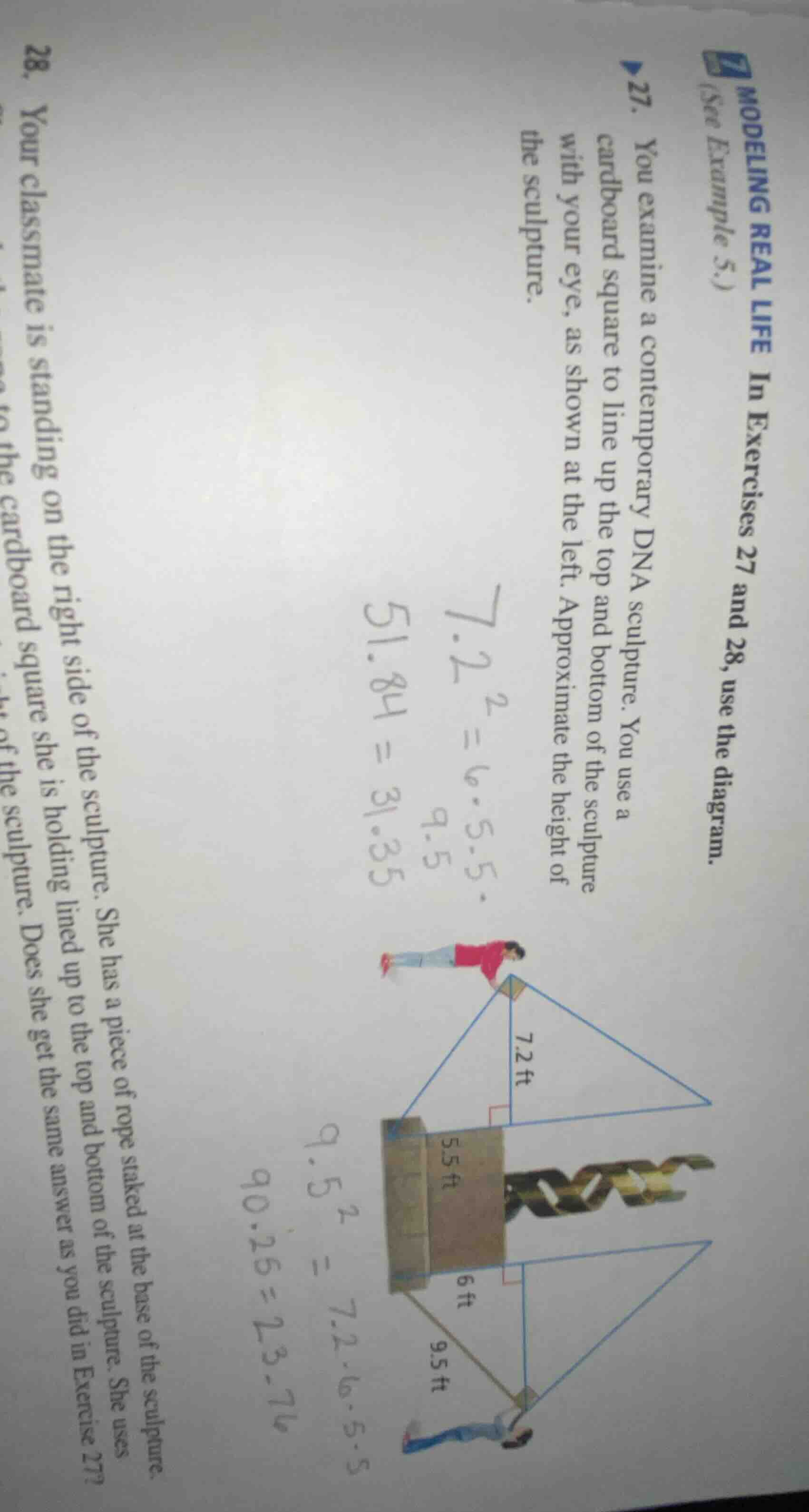 27. you examine a contemporary dna sculpture. you use a cardboard squar…
